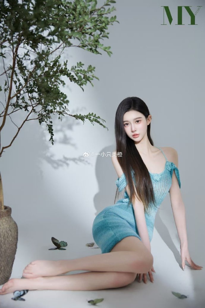 文章里的中国